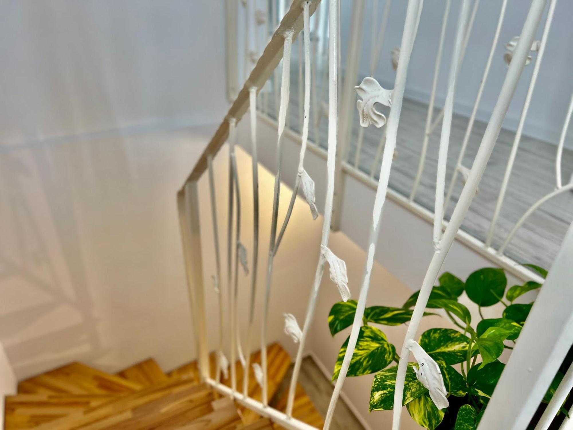 Blue Boho Boutique Villa Braşov Dış mekan fotoğraf